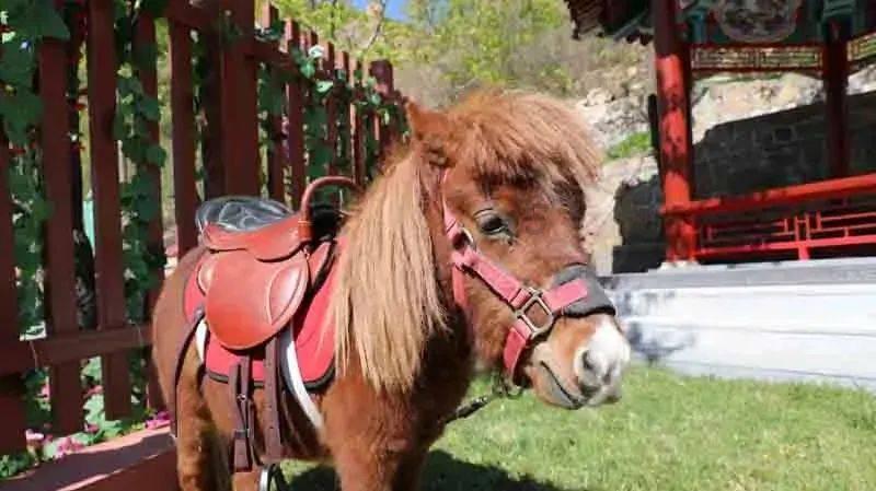 浦东：盒马首届职代会实现员工参与全覆盖