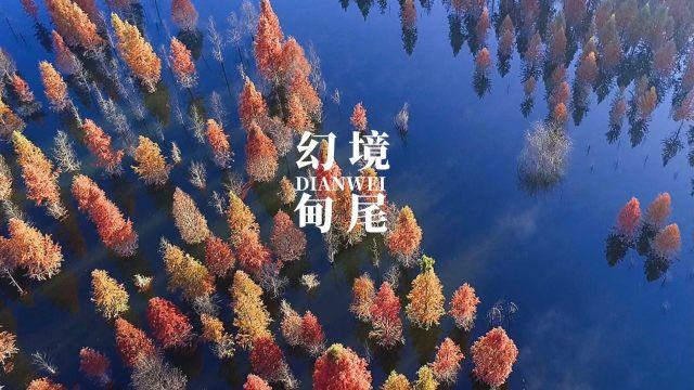 燃烧吧大脑免广告最新版