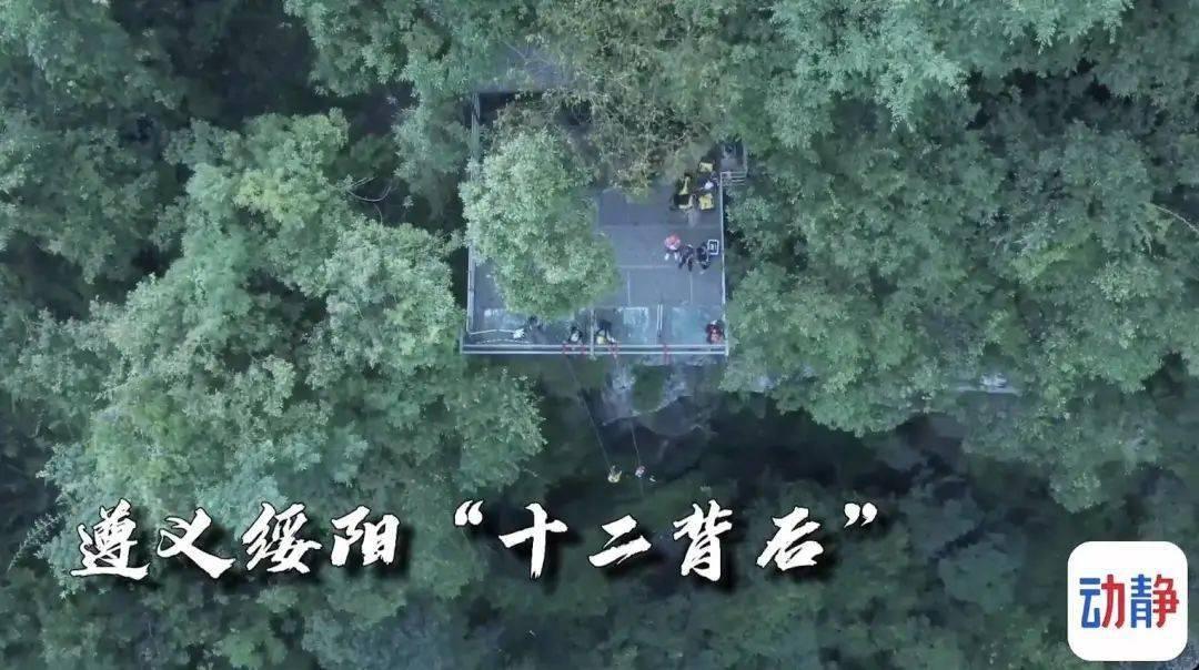 这个可以机豆浆吗，水和黄豆的比例呢游戏画面