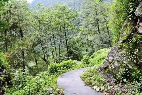 赠刘景文古诗的意思全解游戏画面