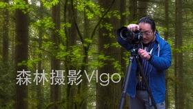 奇妙恐龙世界
