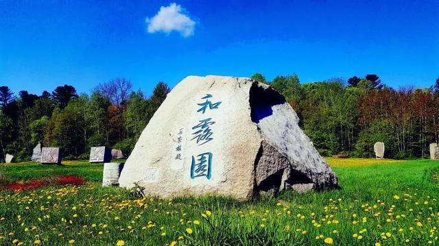 萤石网络:AI+云+具身智能,2024异彩纷呈
