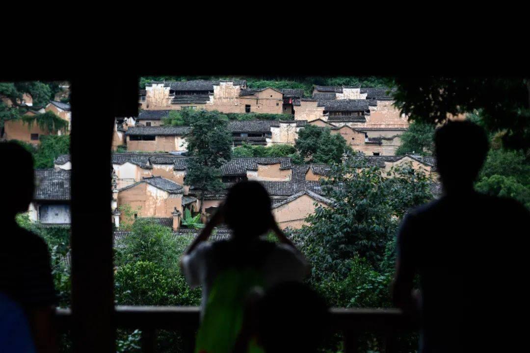 2024春节档前瞻，数智化拆解第一梯队竞争格局