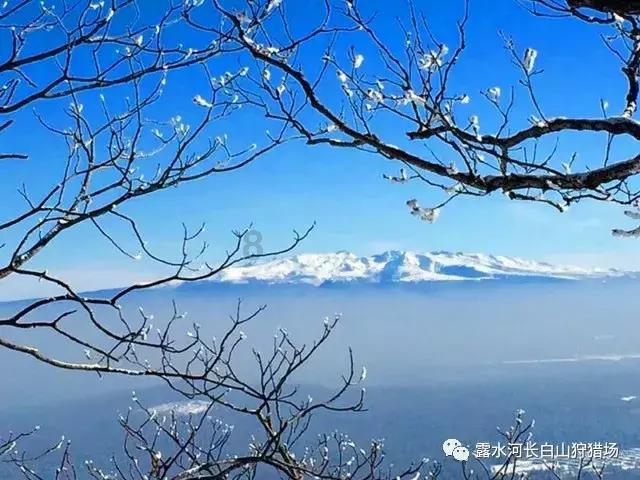 饿点也好，减肥吧！就是难受一点？