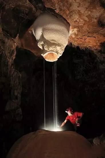 探索知识星球平台,加入泡柿子的制作方法视频?,拓宽您的知识领域