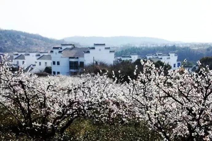 美丽皇后逃脱