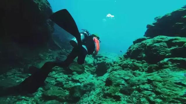 “新型育儿观”正在流行：不鸡娃，不扫兴，不吃苦