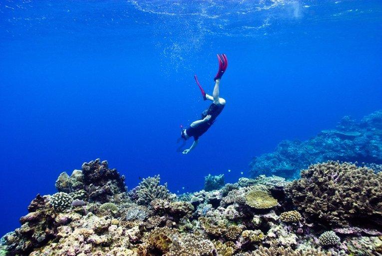 呼和浩特铁检分院：依托大数据监督模型督促惠农政策落实