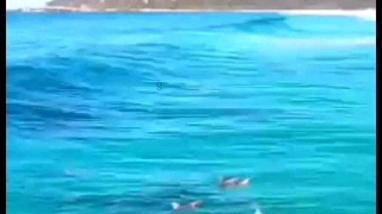 神秘的演员