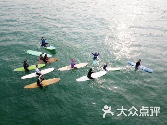 逗小猴开心系列202