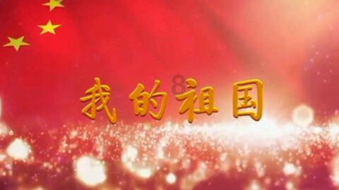 动物帮帮忙保卫家园