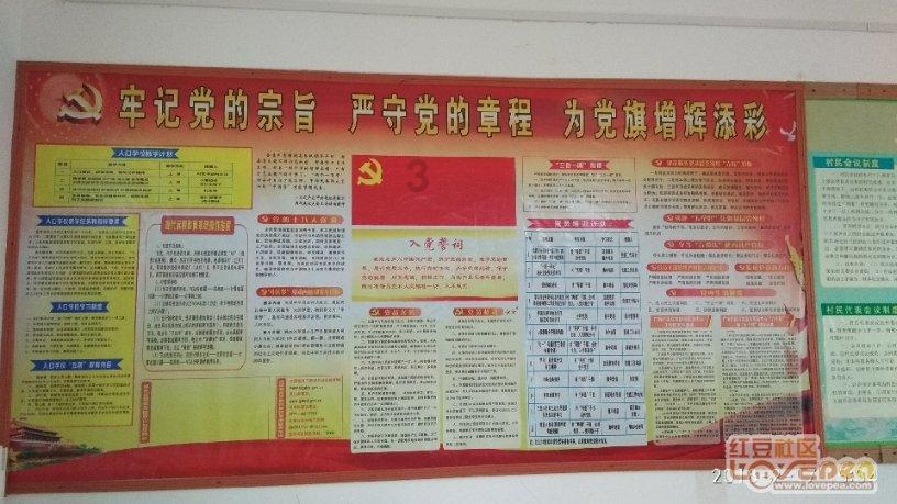 燃烧吧大脑装瓶子游戏