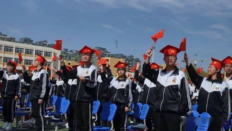 金币放置