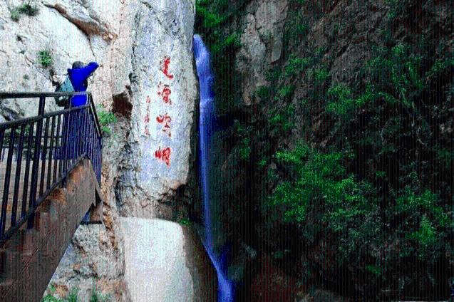 永善：单轨运输车助力脐橙出果园