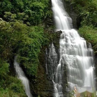 【两会·黔言】薛承梦委员：建议发挥粤黔对口帮扶优势，创建大湾区青创分中心