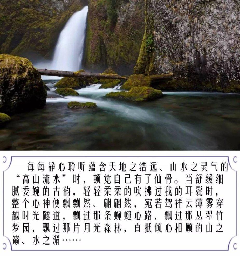 历史新高！洛阳2023年进出口总值240亿元