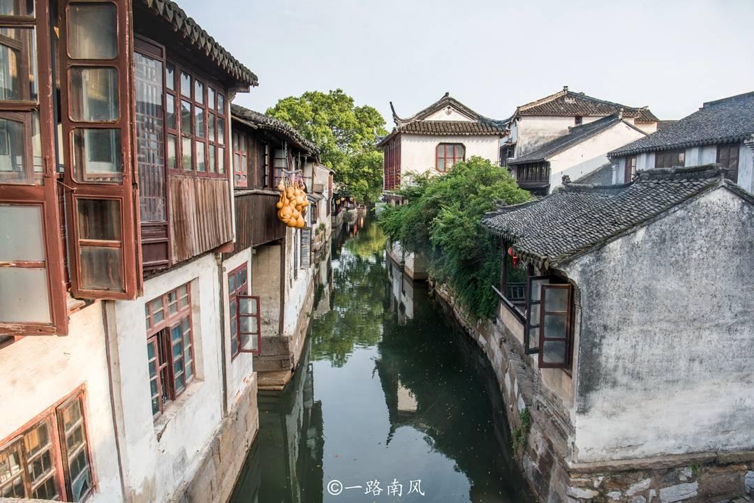 胃是人体的重要器官，为大家介绍八种养胃的食物