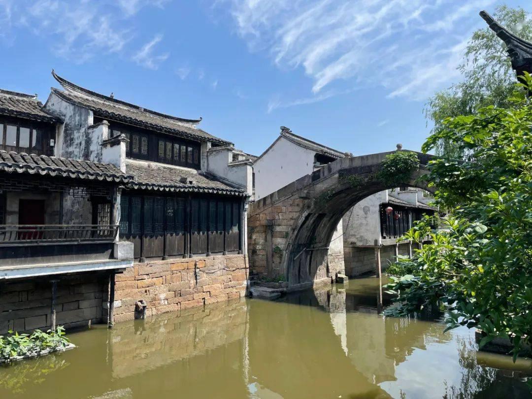 饿狮救援