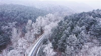 哈尔滨小哥招待南方游客后收到两大箱特产,感动落泪
